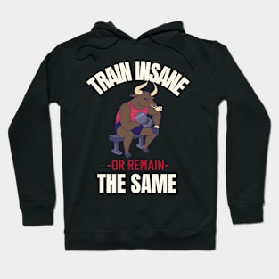 Train Insane or Remain the Same Hoodie